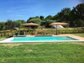 3 bedrooms villa with private pool furnished garden and wifi at Montecampano